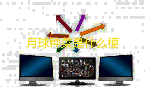 三角洲手游物资透视免费软件月球种菜是什么梗